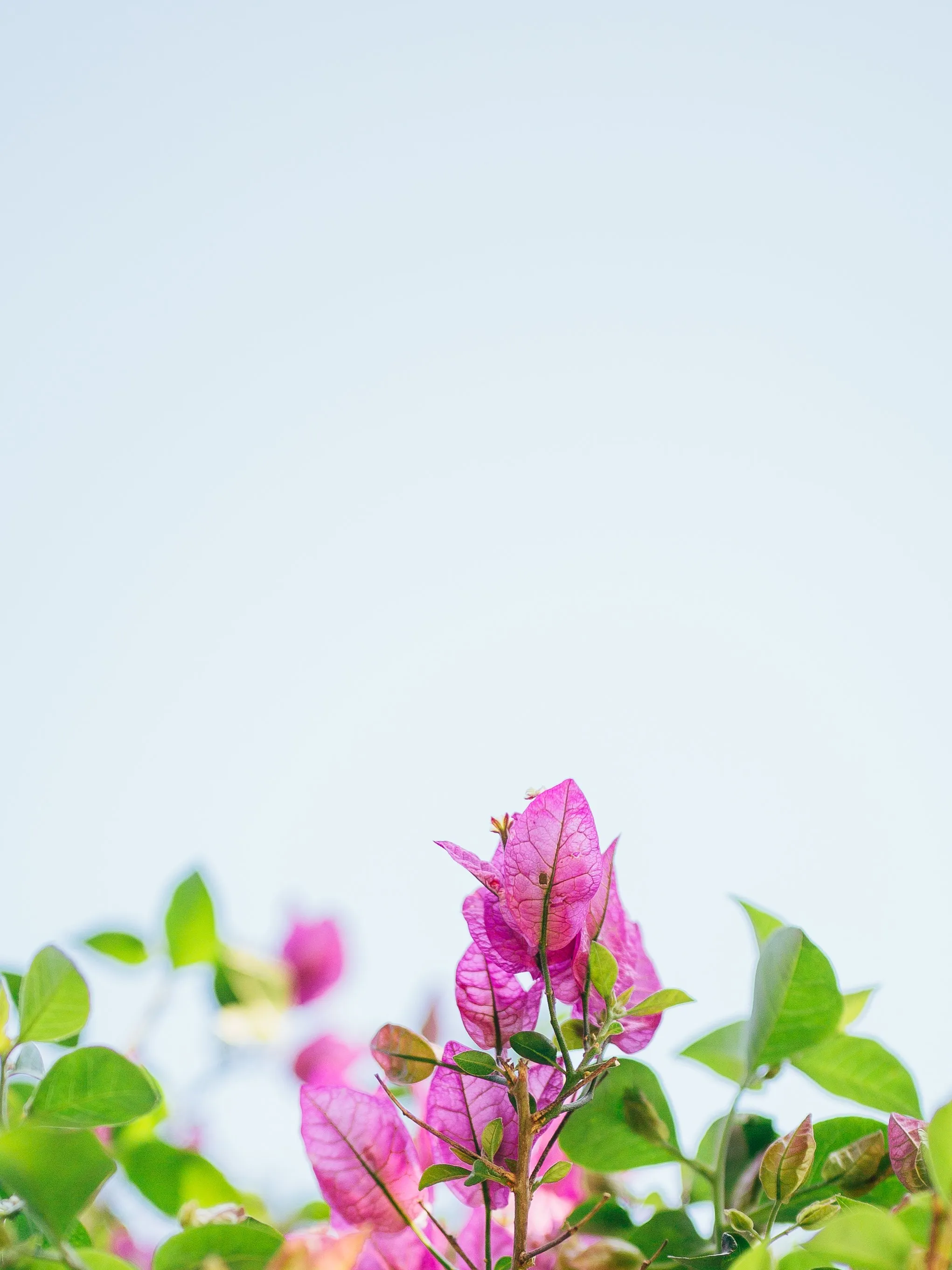 20170401 5B2A9606 2